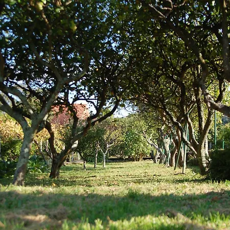 Casaldomar Hotel